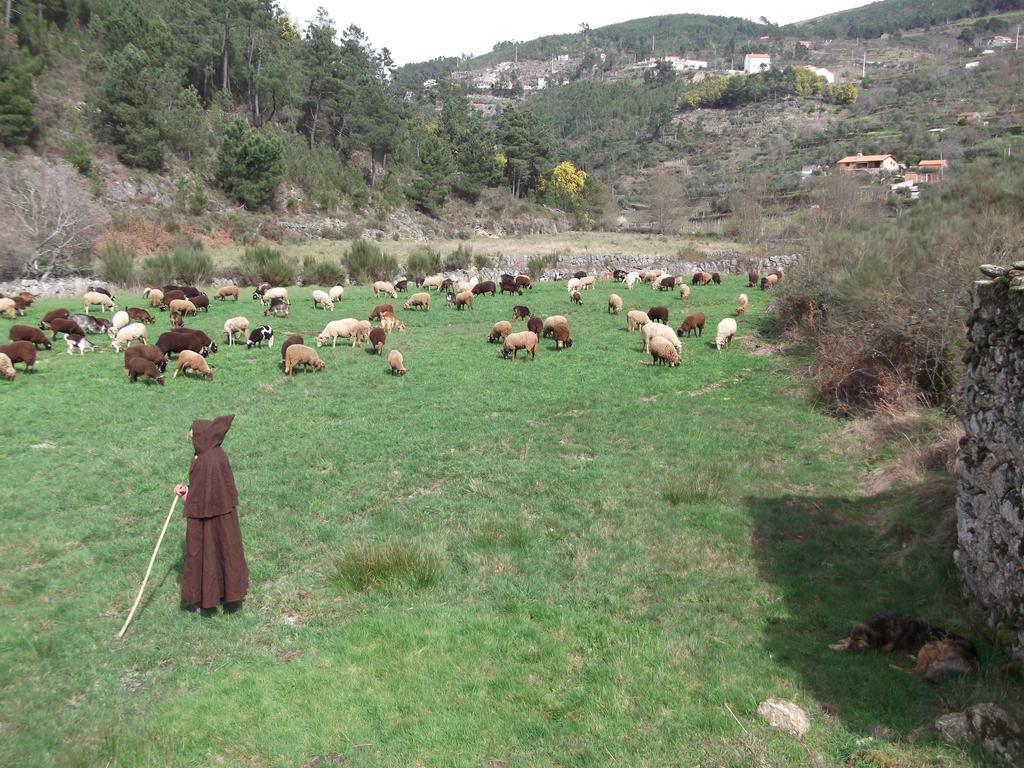 Casa Do Adro - Serra Da Estrela Cortes do Meio Esterno foto